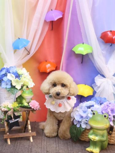 20230630サラちゃん